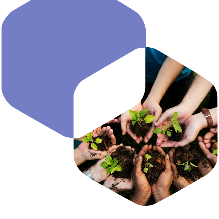 Sustainability & Social Value Report